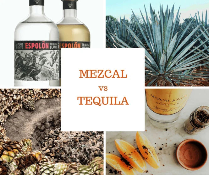 Mezcal vs. Tequila: What is the Difference?