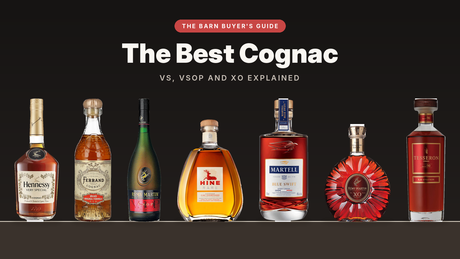 The Barn Buyer's Guide: Hennessy VS, Pierre Ferrand 1840, Remy Martin VSOP, Hine Rare VSOP, Martell Blue Swift, Remy Martin XO and Tesseron cognac
