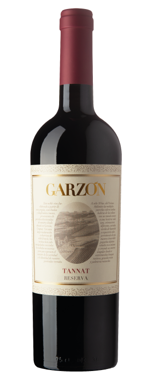 Bodega Garzon Tannat Reserva