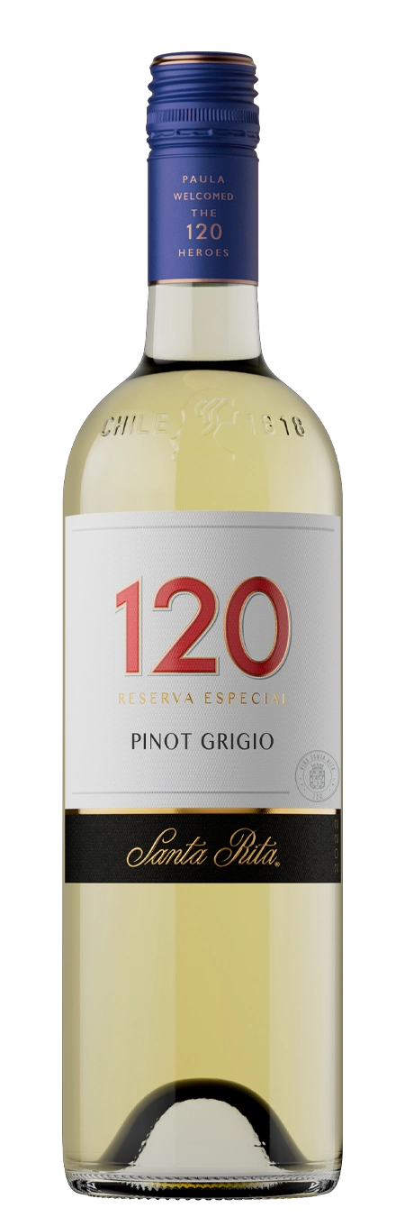 Santa Rita 120 Pinot Grigio - Pinot Grigio | Shop Online at The Liquor Barn
