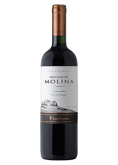 Castillo De Molina Carmenere 750ml | Oak-Aged Maule Valley – The