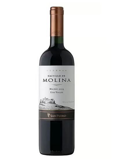 Castillo De Molina Malbec