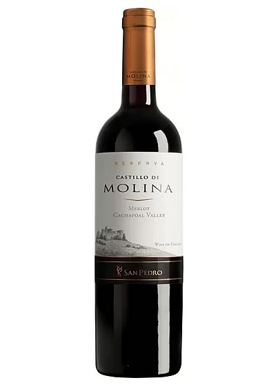 Castillo De Molina Merlot 750ml | Curicó Valley Chile – The Liquor