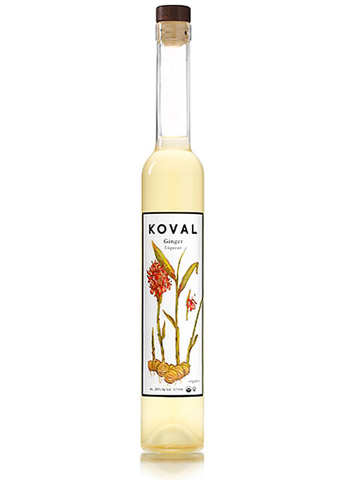 Koval Ginger